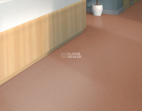 Tarkett iq Melodia 2618 фото 2 | FLOORDEALER
